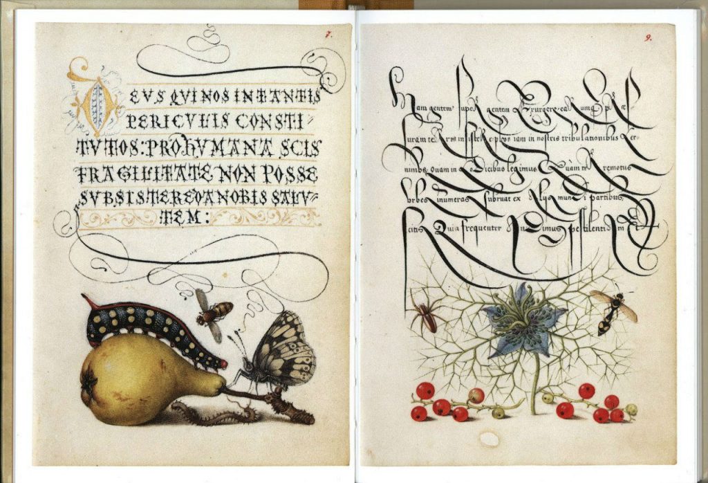 «Образцовая книга каллиграфии» — Оди. О дизайне