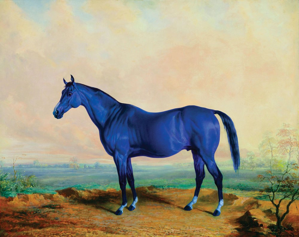 Лошади 20 лет. Blue Purple Horse PNG image.
