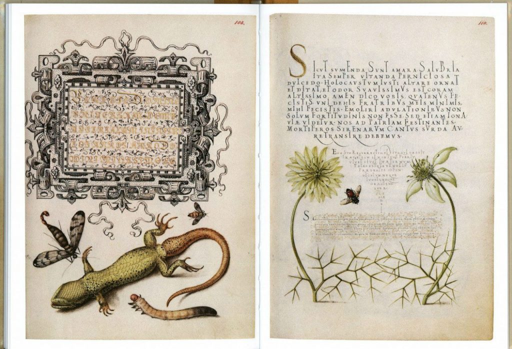 «Образцовая книга каллиграфии» — Оди. О дизайне