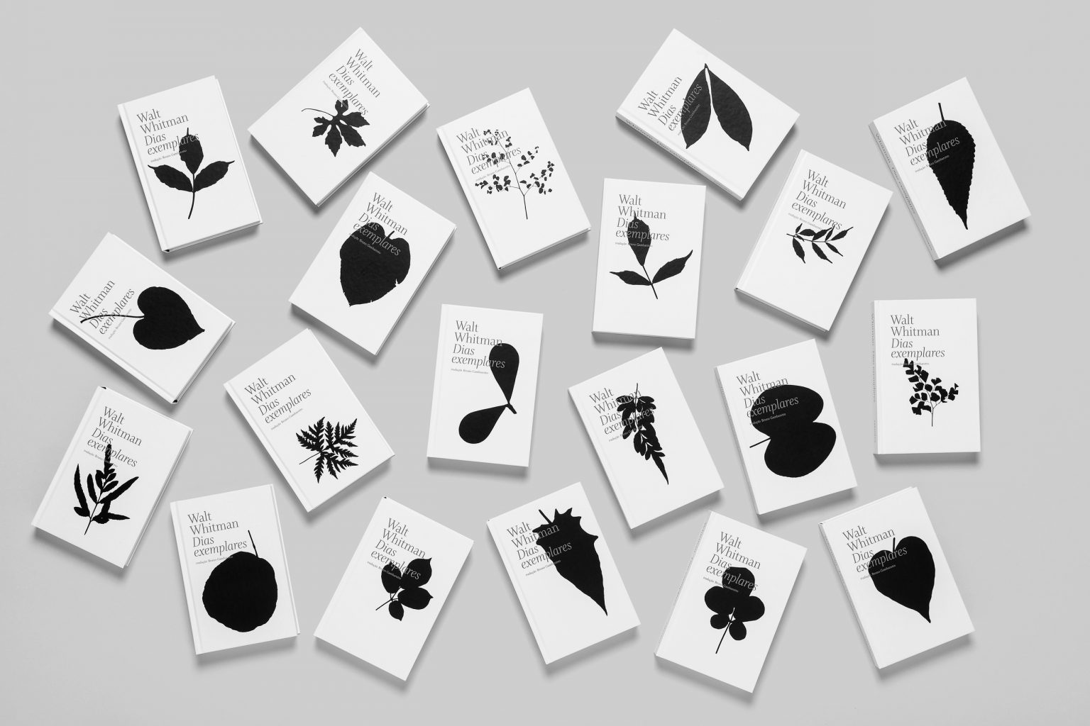 Дизайн обложки книги Dias exemplares (Specimen Days) — Оди. О дизайне