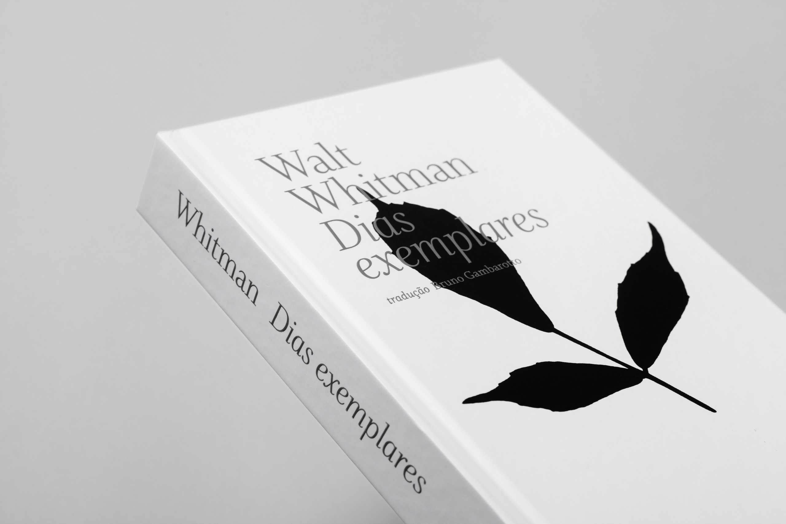 Книга черно белая обложка. Обложка книги дизайн. Обложка книги черно белая. Обложка книги Минимализм. Дизайн обложки книги стихов.
