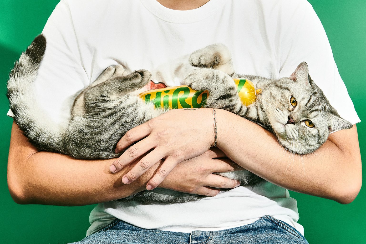 Ребрендинг вьетнамского производителя кормов для кошек и собак HiRaw ...